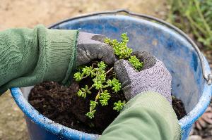 Stuttgart: Mehr Natur mitten in der Stadt